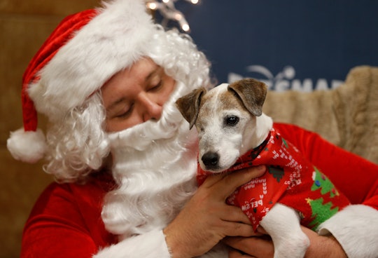 PetSmart is hosting holiday events for pets throughout December.