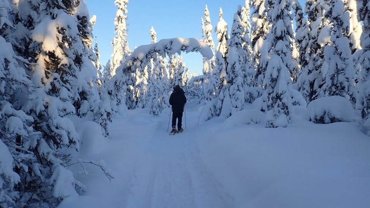 A man snowshoes through the snow during an Airbnb experience.