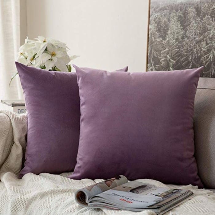 MIULEE Velvet Pillow Covers (2-Pack)
