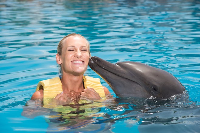 Swim with Dolphins in the Mexican Caribbean