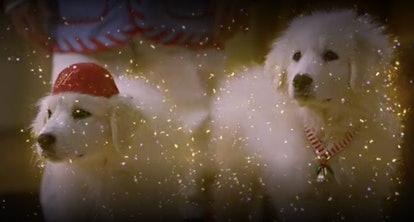 "Santa Paws 2: Santa Pups" is a fun holiday themed movie with talking dogs that is available to stre...