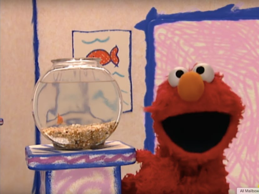 Watch selected episodes of 'Sesame Street' on Amazon Prime