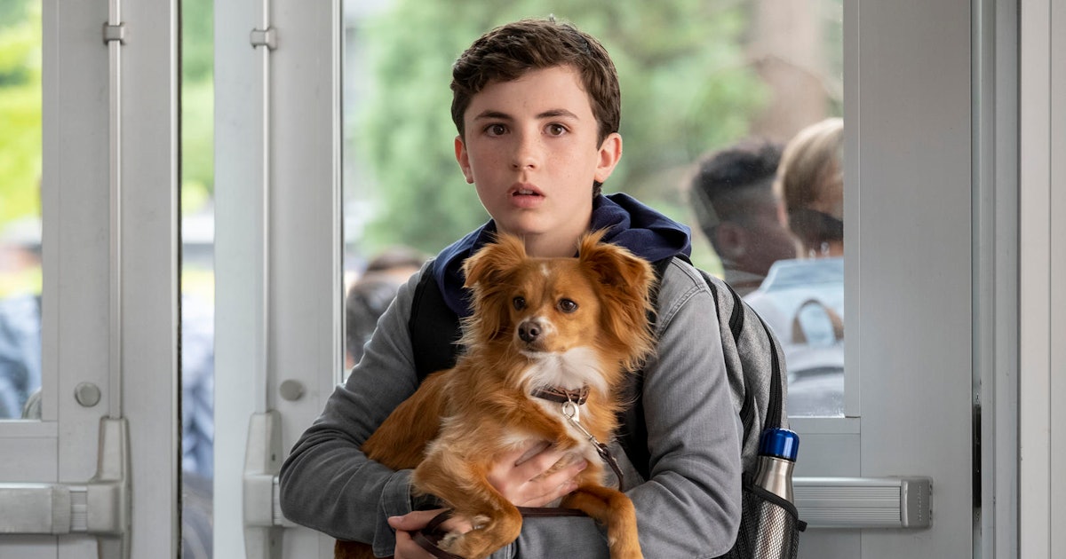 Netflix Announces �The Healing Powers Of Dude� Release Netflix Announces �The Healing Powers Of Dude� Release