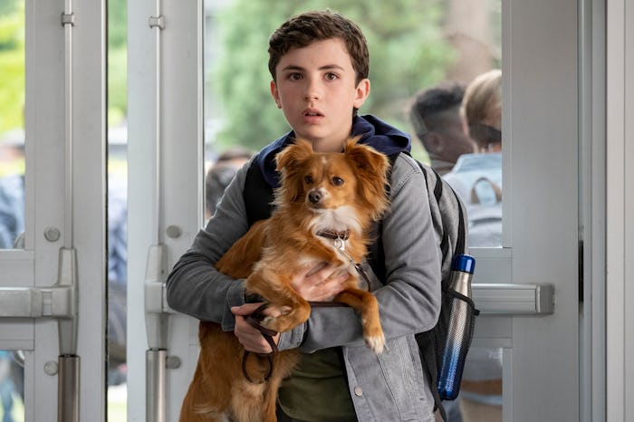 Netflix's "The Healing Powers Of Dude," which centers around an 11-year old boy with social anxiety ...