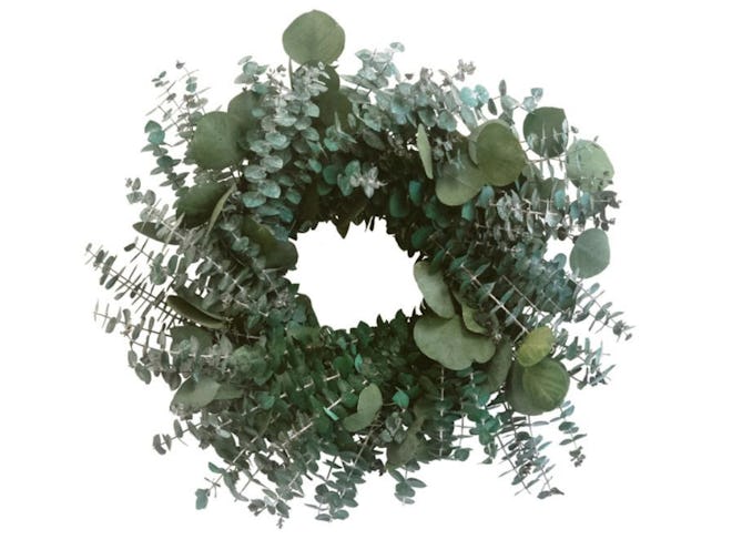 Bee & Willow™ Home 20-Inch Dried Eucalyptus Wreath