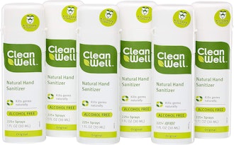 CleanWell Botanical Hand Sanitizer Spray (Pack of 6)