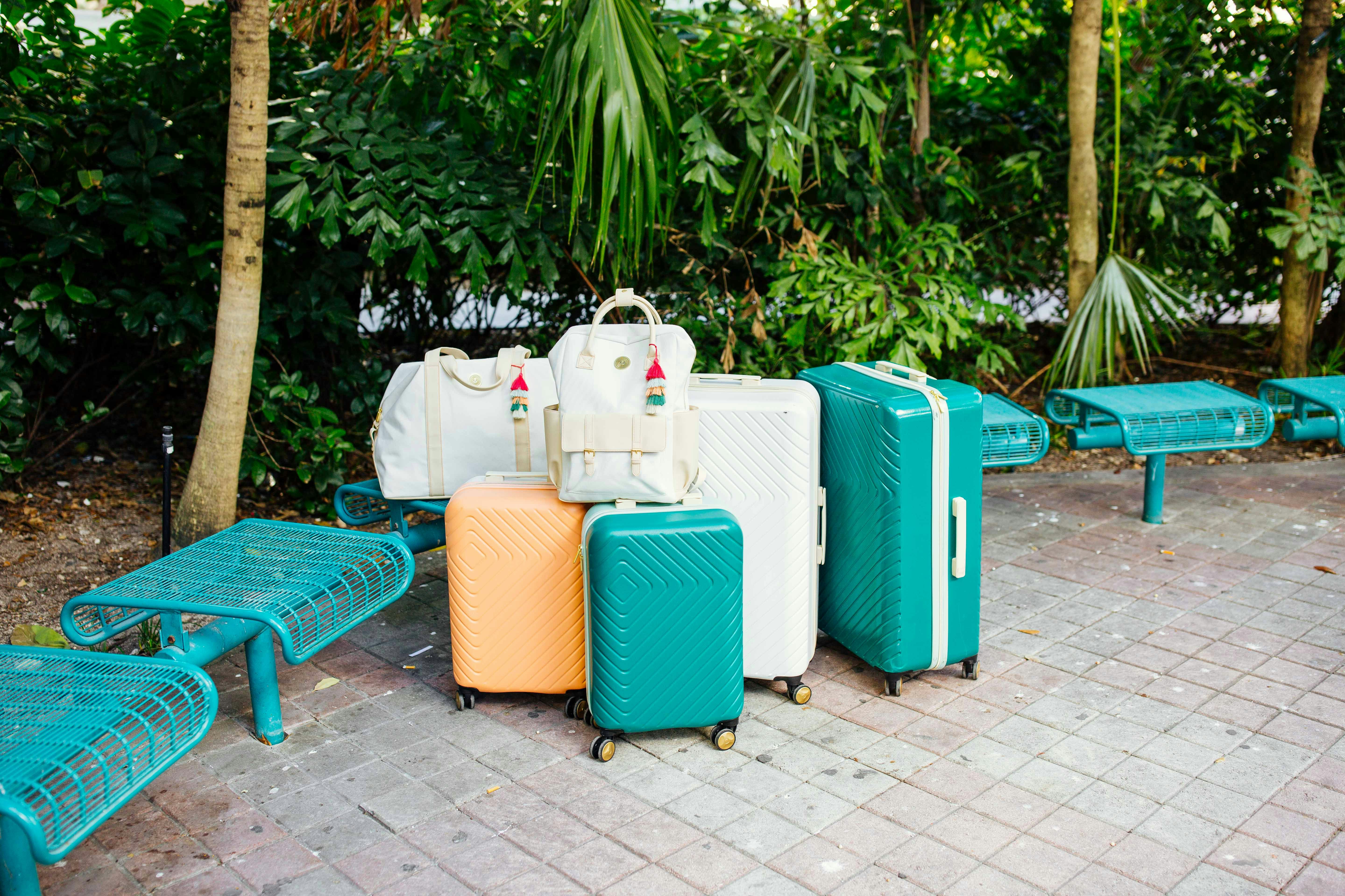 target justina blakeney luggage