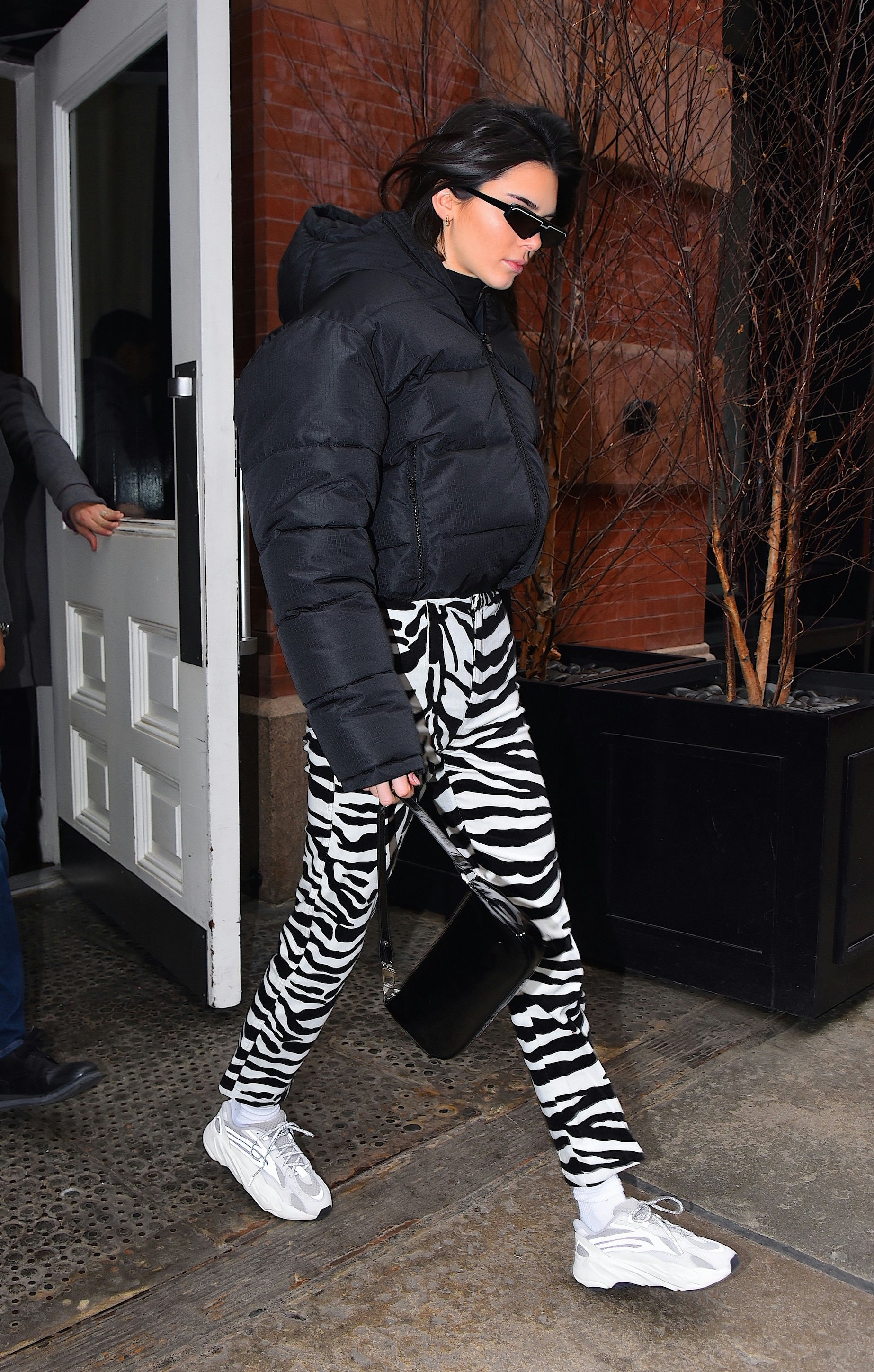 Kendall Jenner's Zebra Pants Prove There's A New Animal Print On The Rise