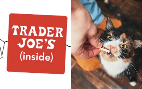 Trader Joe's Is Releasing Cat Treats, According To Its Podcast