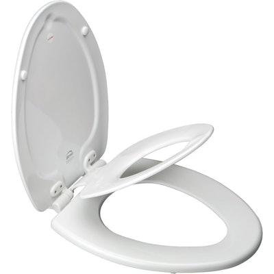The Disappearing Potty Seat