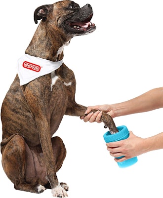 Dexas Petware Mudbuster Portable Dog Paw Cleaner