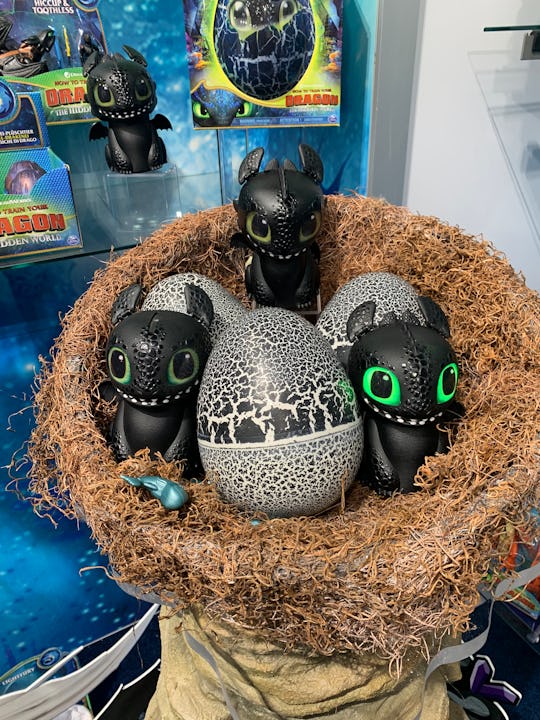 Hatching top toothless egg