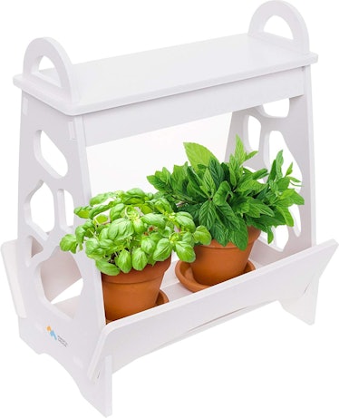 Mindful Design Indoor Herb Garden
