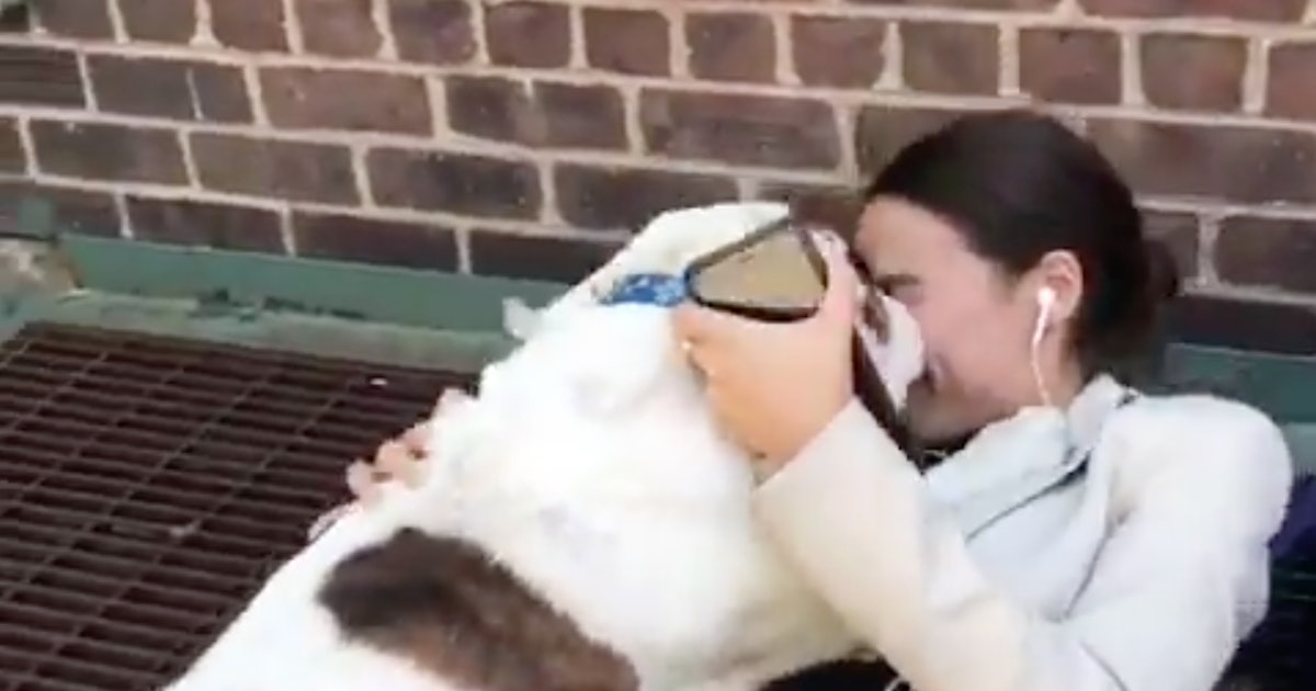 Ocasio cortez latest Ocasio cortez latest