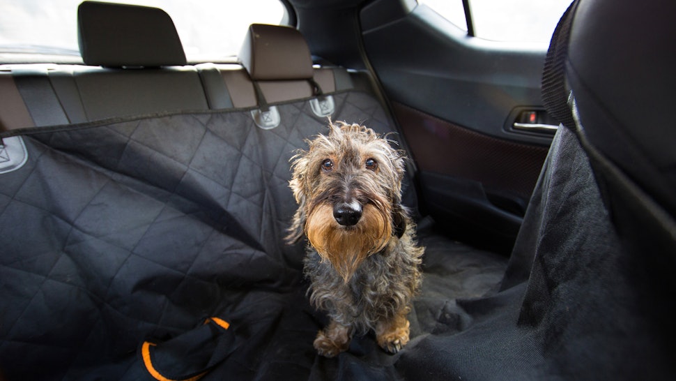 Subaru Crosstrek Dog Seat Cover Velcromag
