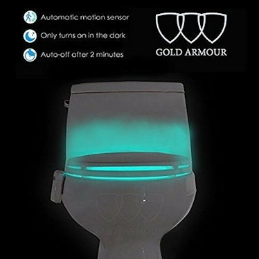 Gold Armour Toilet Night Light