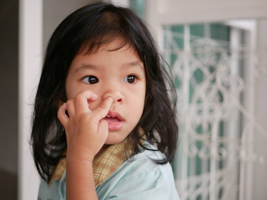 How To Stop Your Child From Eating Their Boogers Because Gross How To Stop Your Child From Eating Their Boogers Because Gross