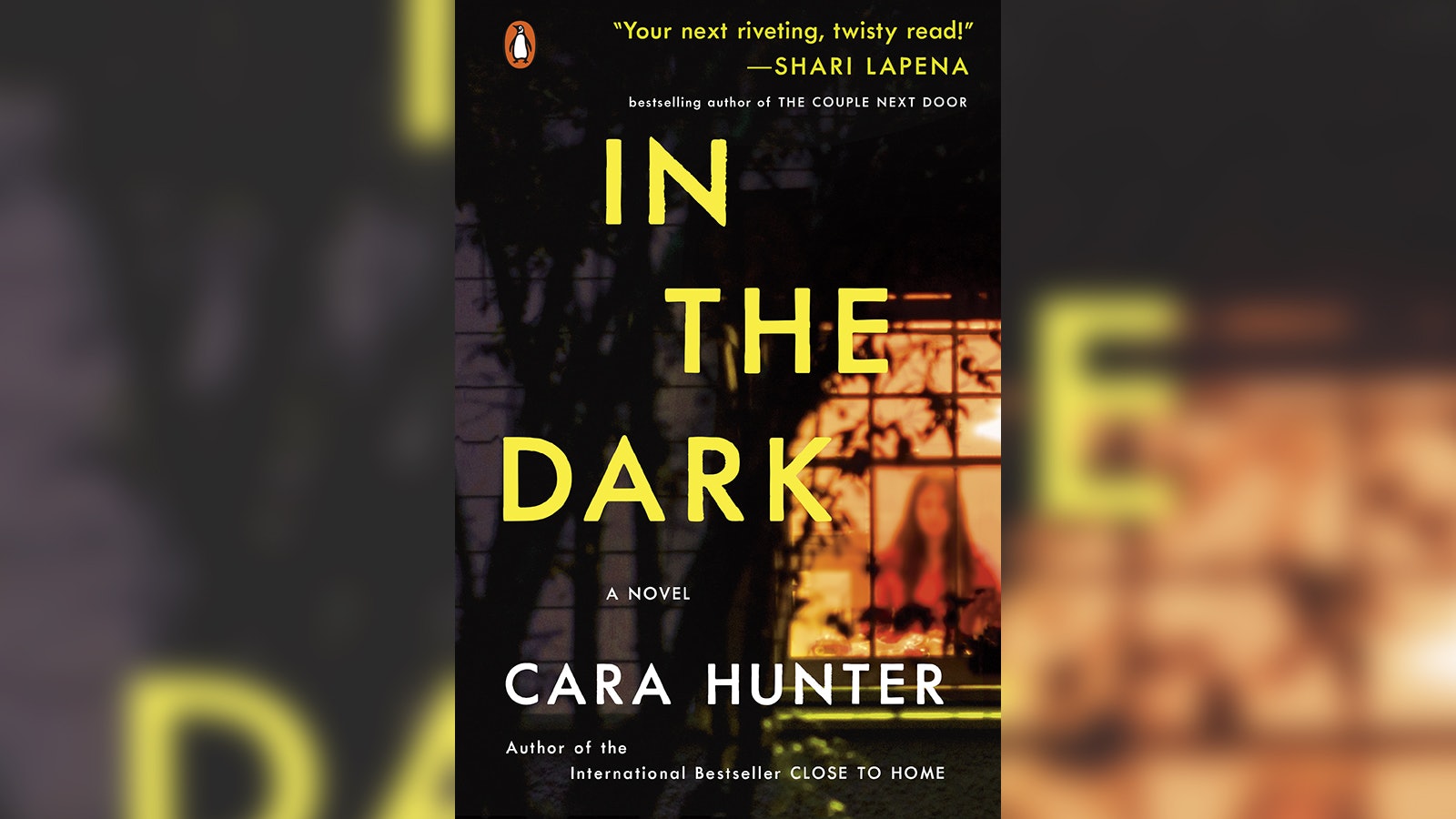 in the dark a novel cara hunter