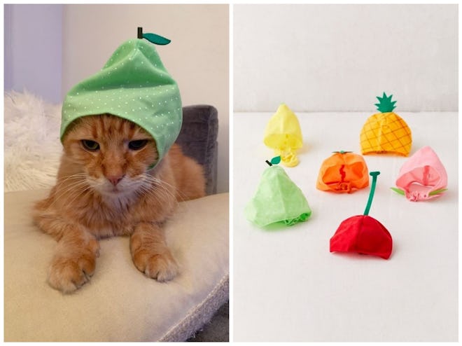 Fruit Cat Cap