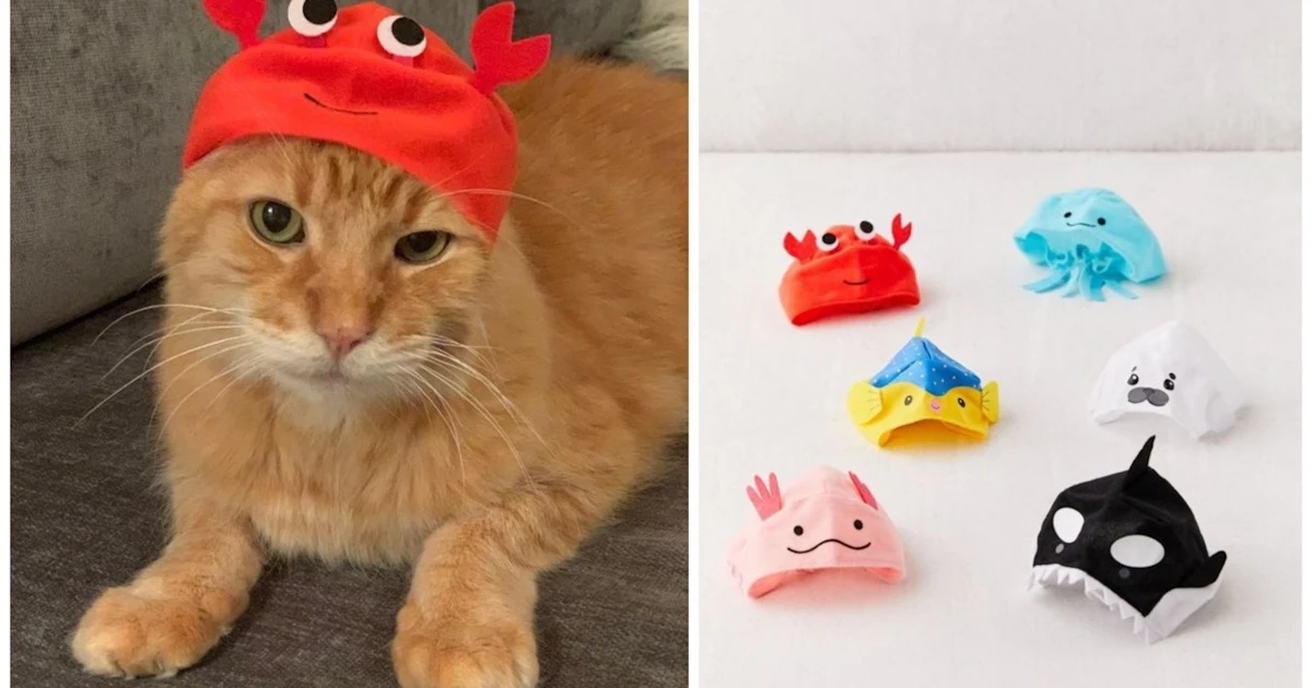 Urban Outfitters Sells Cat Hats In A Bunch Of Ridiculously Cute Colors