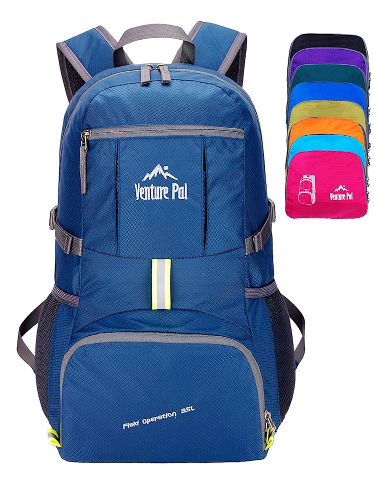 Venture Pal Hiking Daypack