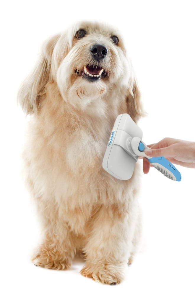 The Pet Portal Pro Quality Self Cleaning Slicker Brush