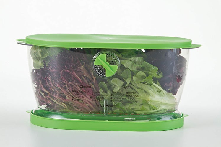 Prepworks by Progressive Lettuce Keeper