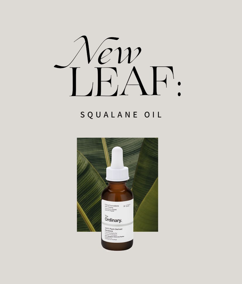 "New Leaf Squalane Oil" with a photo of The Ordinary's bottle of squalane below