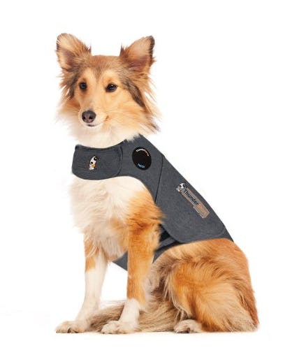 6 Toys For Anxious Dogs That Will Help Them Relax