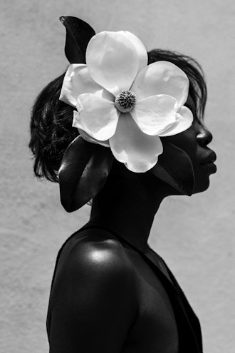 Magnolia by Gregory Prescott 