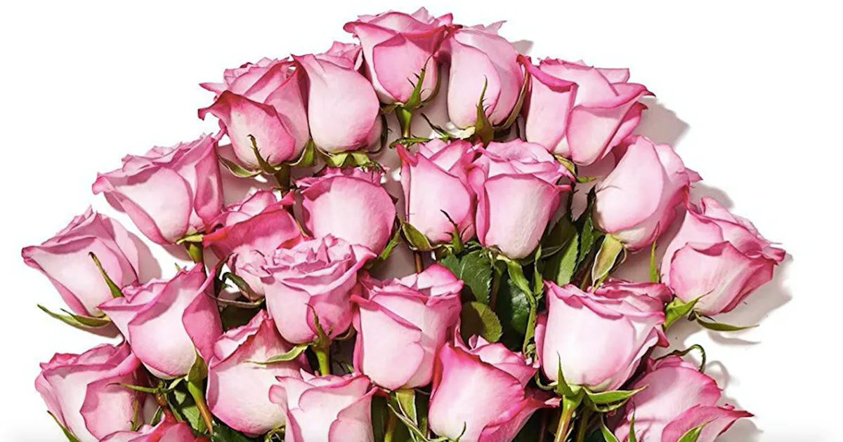 Primetime Roses How To Order Roses For Delivery From Amazon's Prime Now This Valentine ...