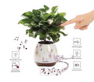Envolve Bluetooth Music Flower Pot