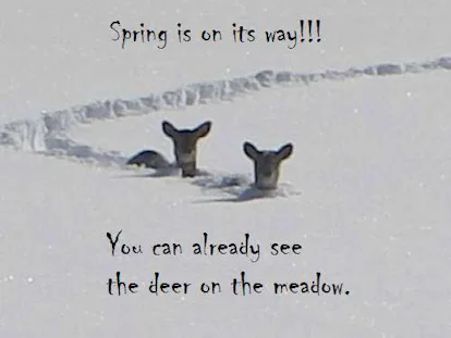 10 First Day Of Spring 2019 Memes That Are Relatable & Funny