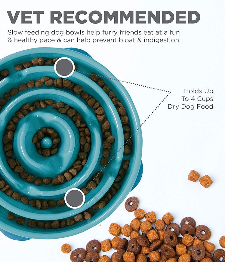 Outward Hound Slow Feed Dog Bowl