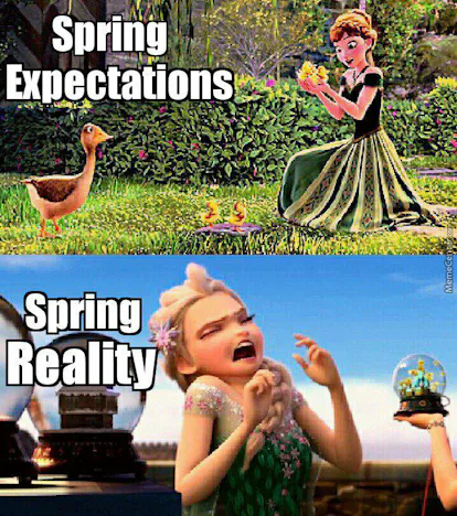 Multiple Spring Stages Meme 15 Spring Equinox 2019 Memes To Celebrate The Return Of Warmer Weather ...