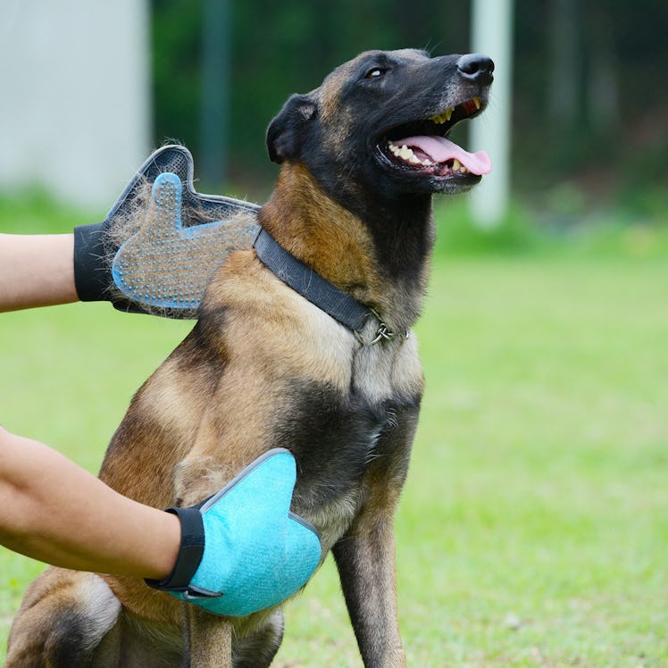 Bonve Pet Grooming Glove