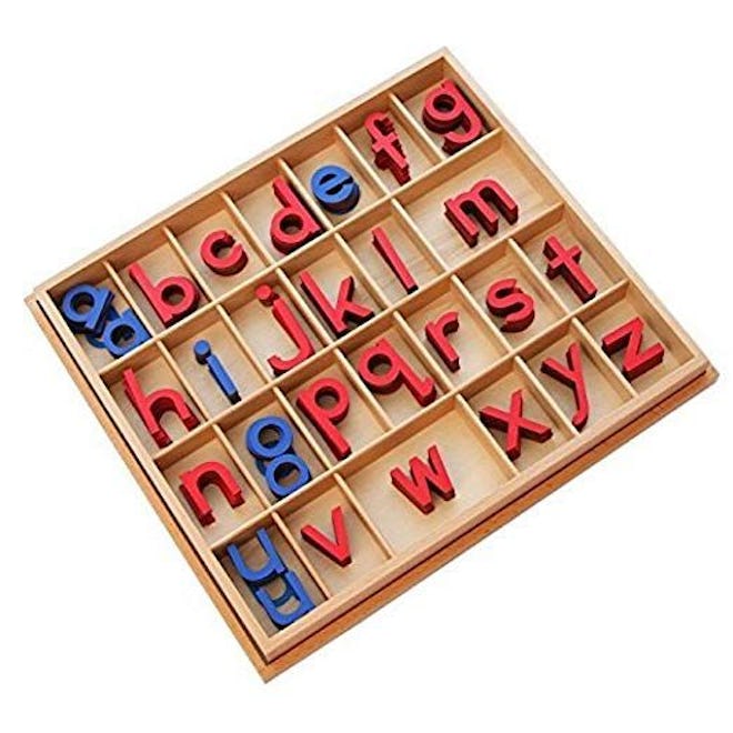 Montessori Small Wooden Movable Alphabet with Box 