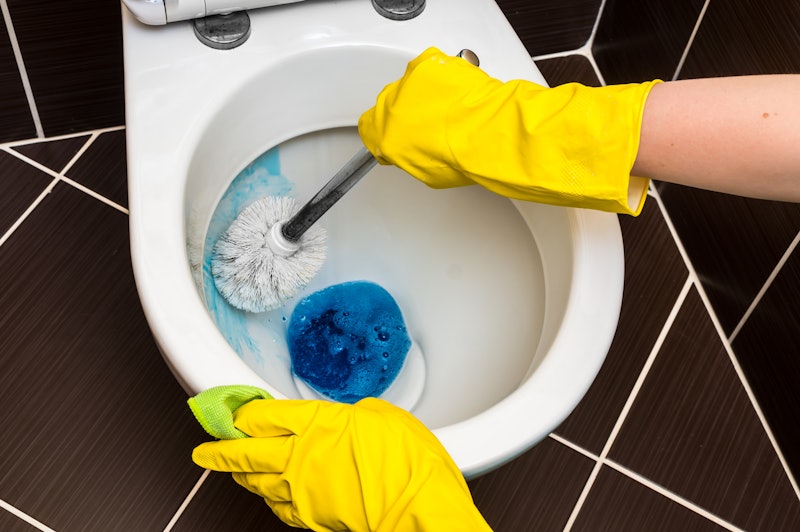 The 5 Best Toilet Bowl Cleaners For Tough Stains