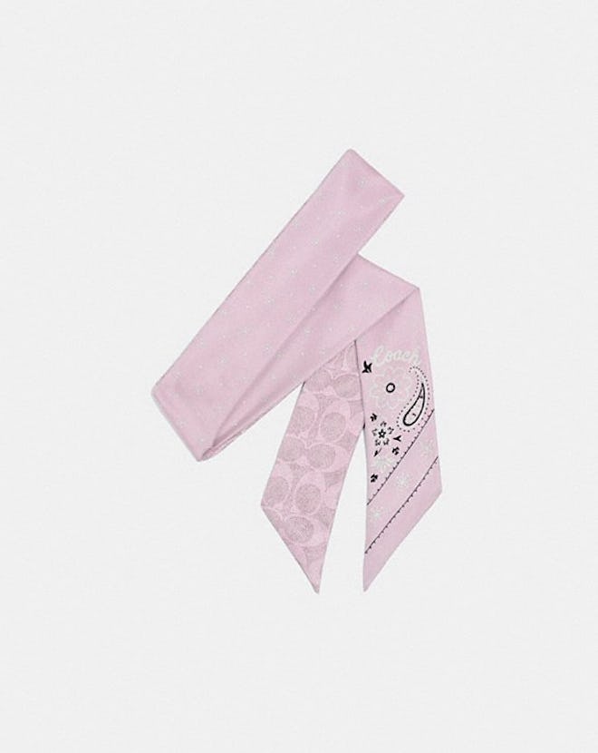 Bandana Print Silk Skinny Scarf