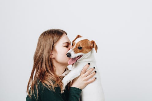 Seeing a cute dog has an actual affect on your brain.