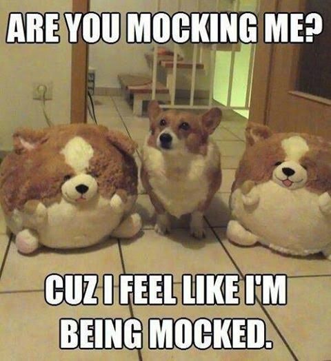 22 Funny National Puppy Day 2019 Memes That Are Also Just Adorable