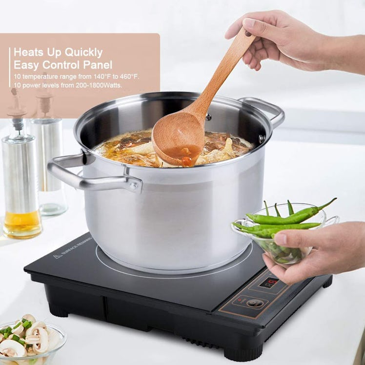 DUXTOP Portable Induction Cooktop