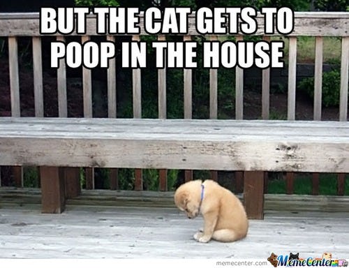 22 Funny National Puppy Day 2019 Memes That Are Also Just Adorable