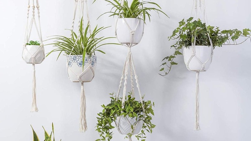 13 Ways To Have Plants In A Small Apartment Or Other Living Space