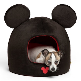 Mickey Mouse Pet Dome