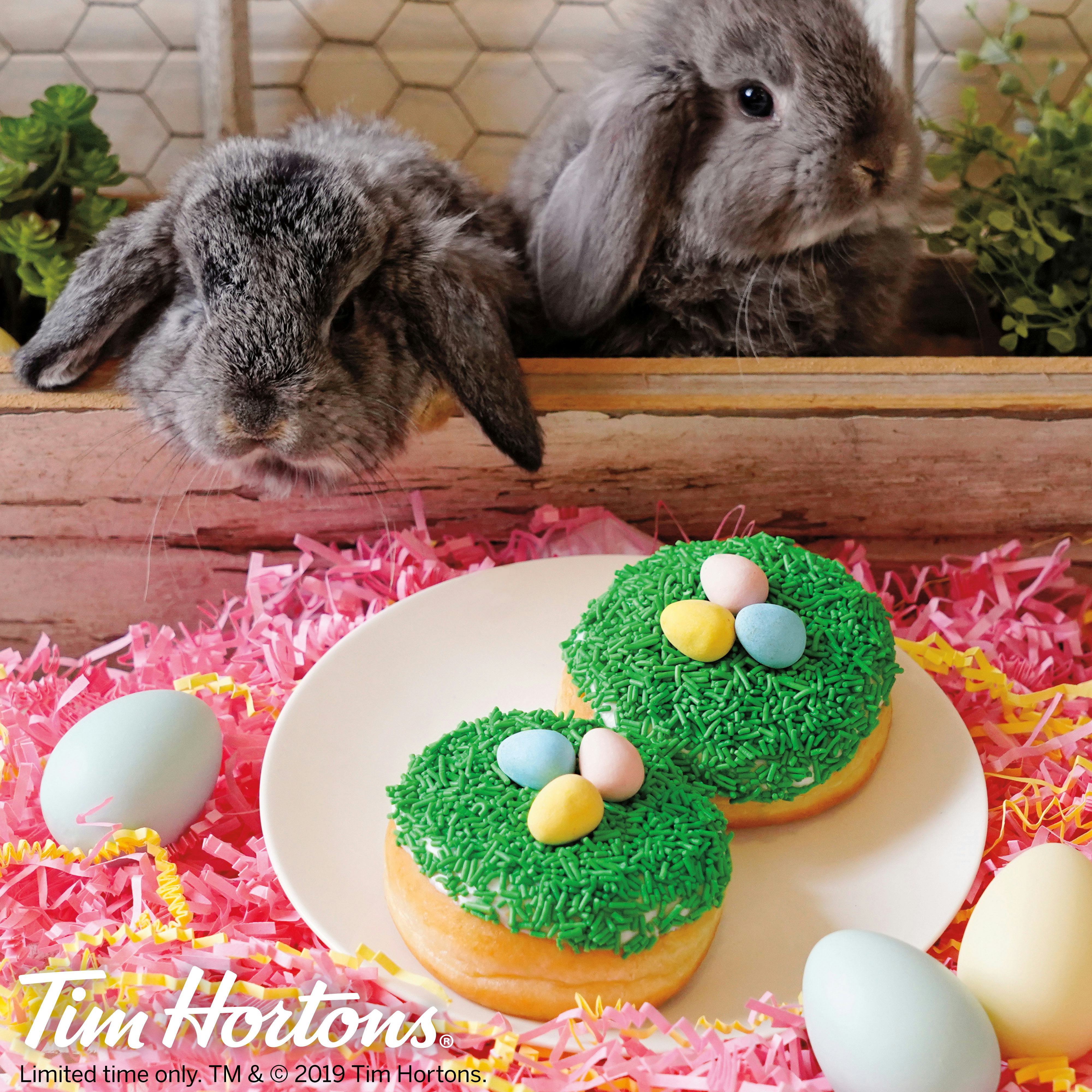 Tim Hortons Launched A Cadbury Mini Egg Donut For Easter & It Is So