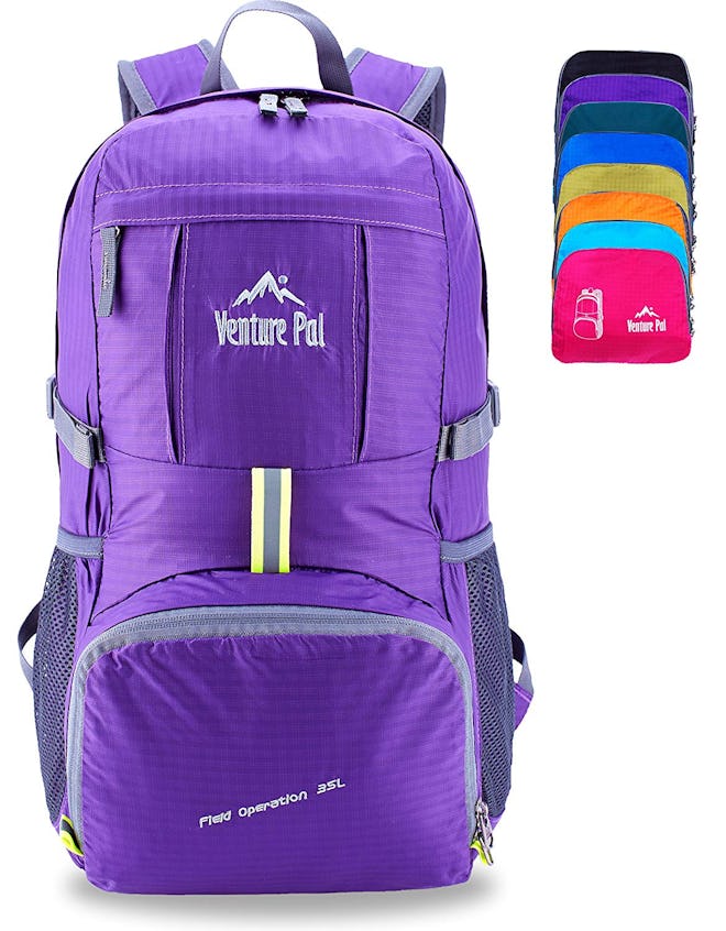 Venture Pal Lightweight Travel Backpack