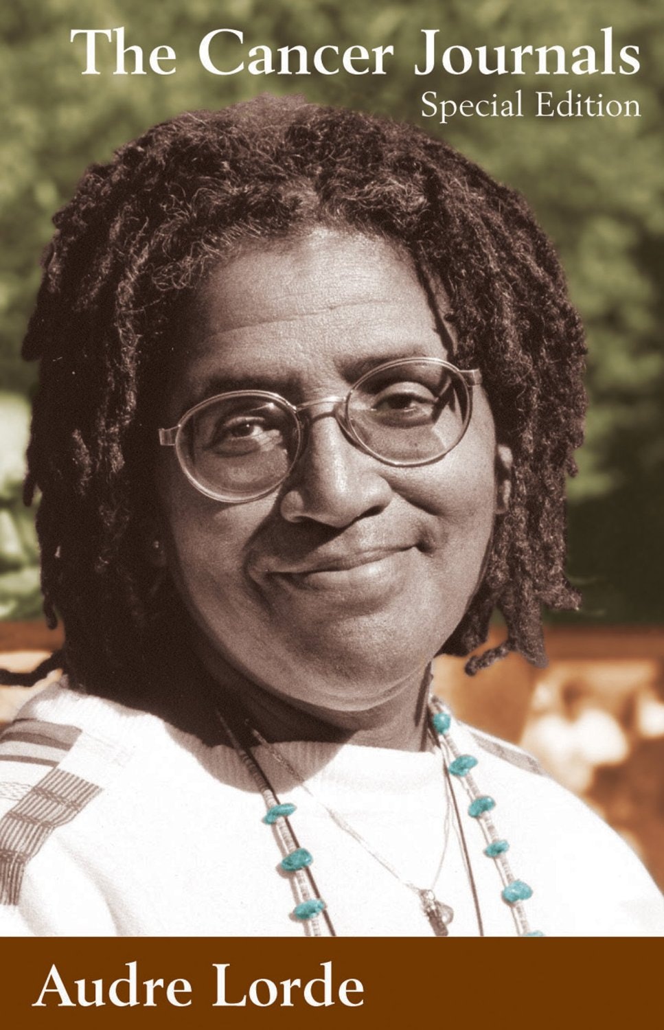 the cancer journals audre lorde sparknotes