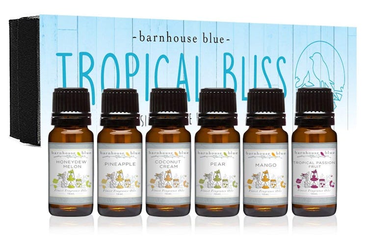 Barnhouse Blue Fragrance Oils, Tropical, Set Of 6