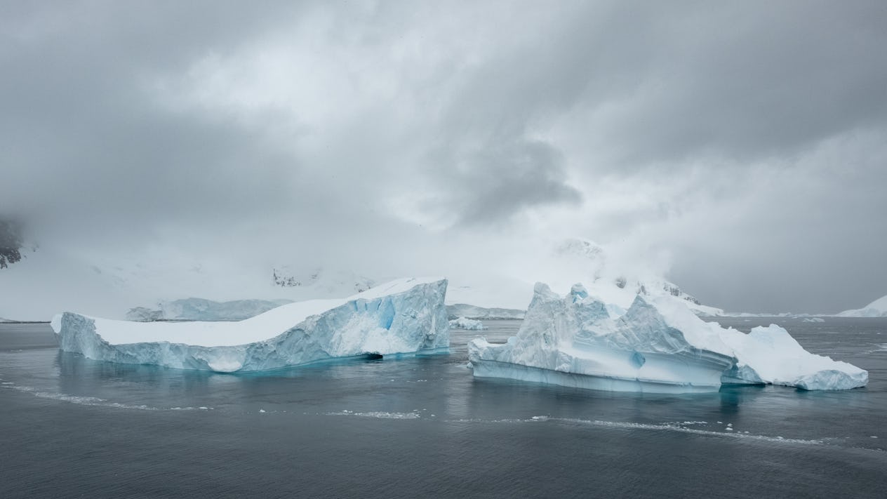 12 Things No One Tells You About Traveling To Antarctica